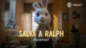 “Save Ralph”, contra las pruebas cosméticas en animales