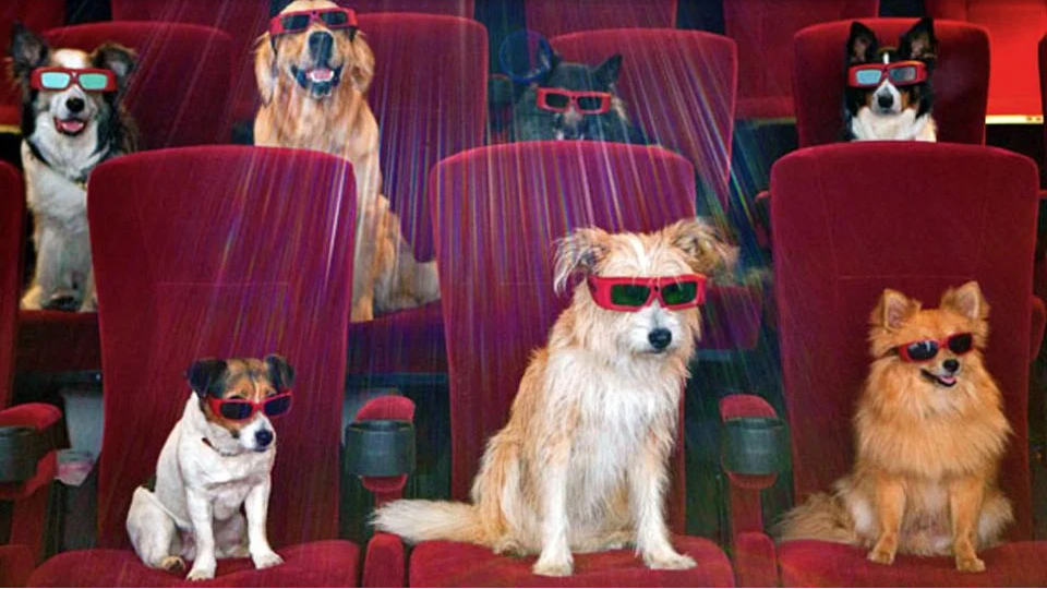 Las mejores películas para celebrar el Día Mundial del Perro