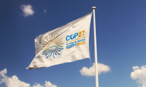 COP 27: Un debate sobre el fondo climático