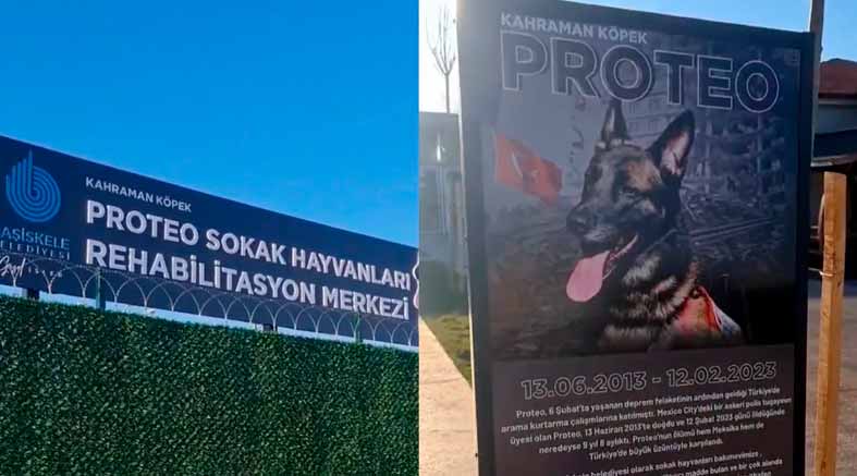 Homenajean a “Proteo” y así mismo bautizan un centro de rehabilitación para animales en Turquía