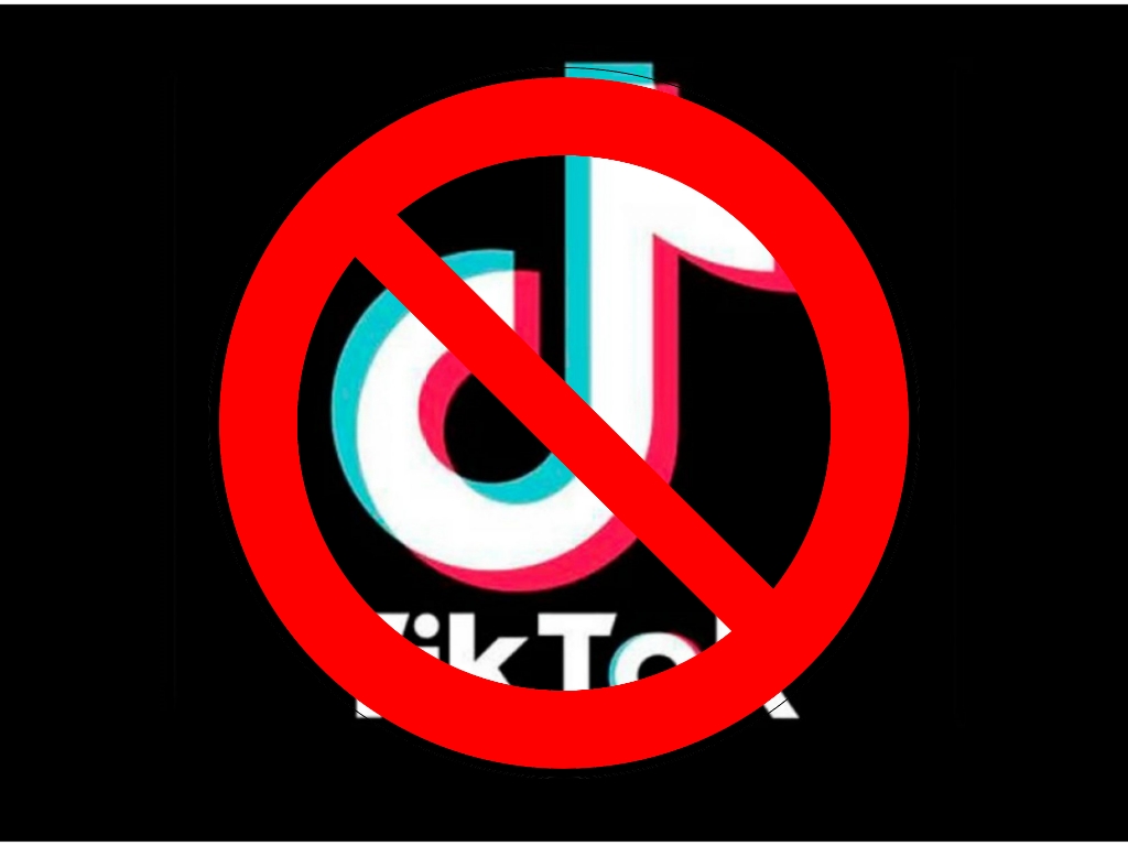Crecen las preocupaciones sobre TikTok: cada vez más países lo prohíben