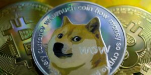 ¿Por qué fue usada la imagen de Dogecoin en Twitter?