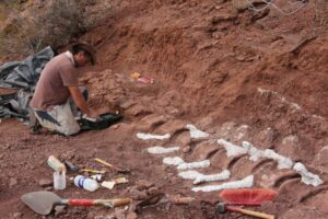¡Descubren los fósiles de uno de los gigantes prehistóricos con un peso impresionante!
