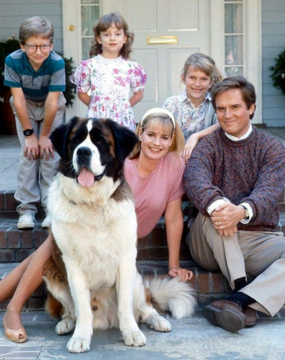 Estos son los perros más famosos del cine y la televisión