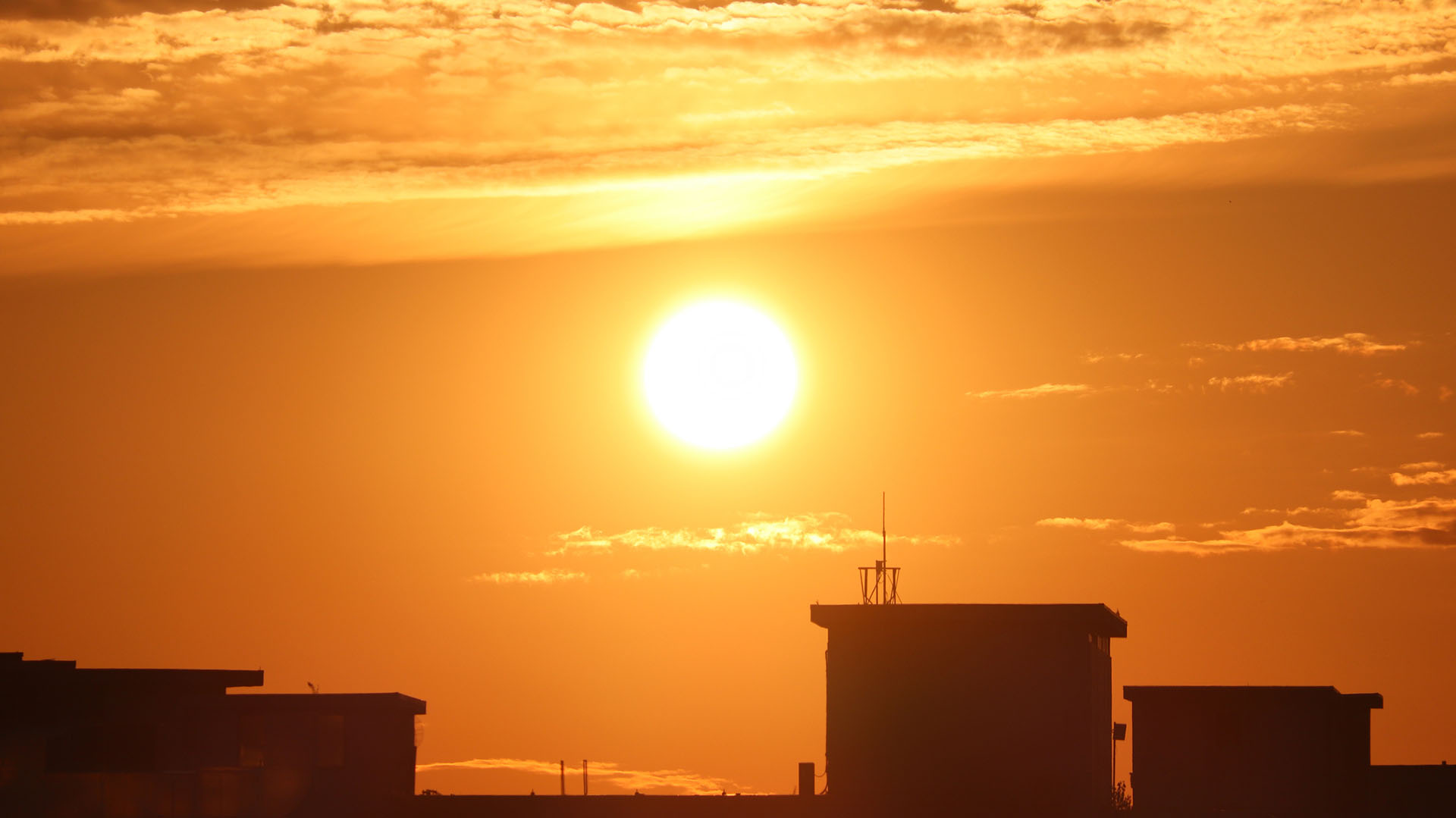 Récord histórico: Este fue el día más caluroso de todos los tiempos