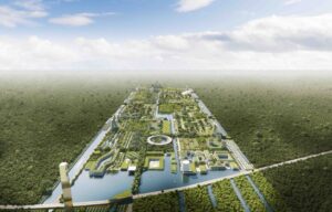 México dará vida al primer ‘bosque inteligente’