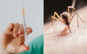 Alerta en vacunas contra el Dengue, Cofepris recomienda no usar en menores