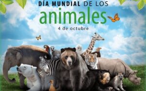 Día de los Animales: Descubre la Maravilla de la Vida Silvestre en 5 Parques Nacionales