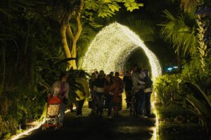 La magia de la Navidad llegó a Jardín Botánico Culiacán