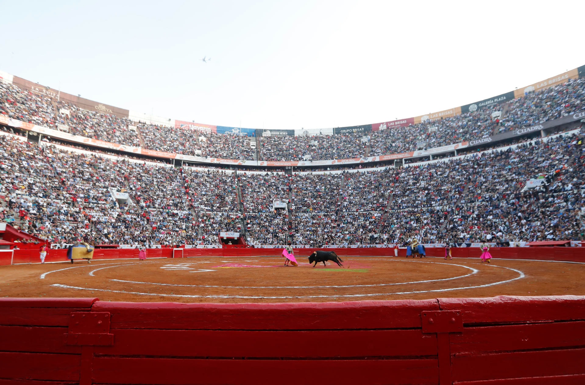 Suspenden corridas de toros en la Plaza México