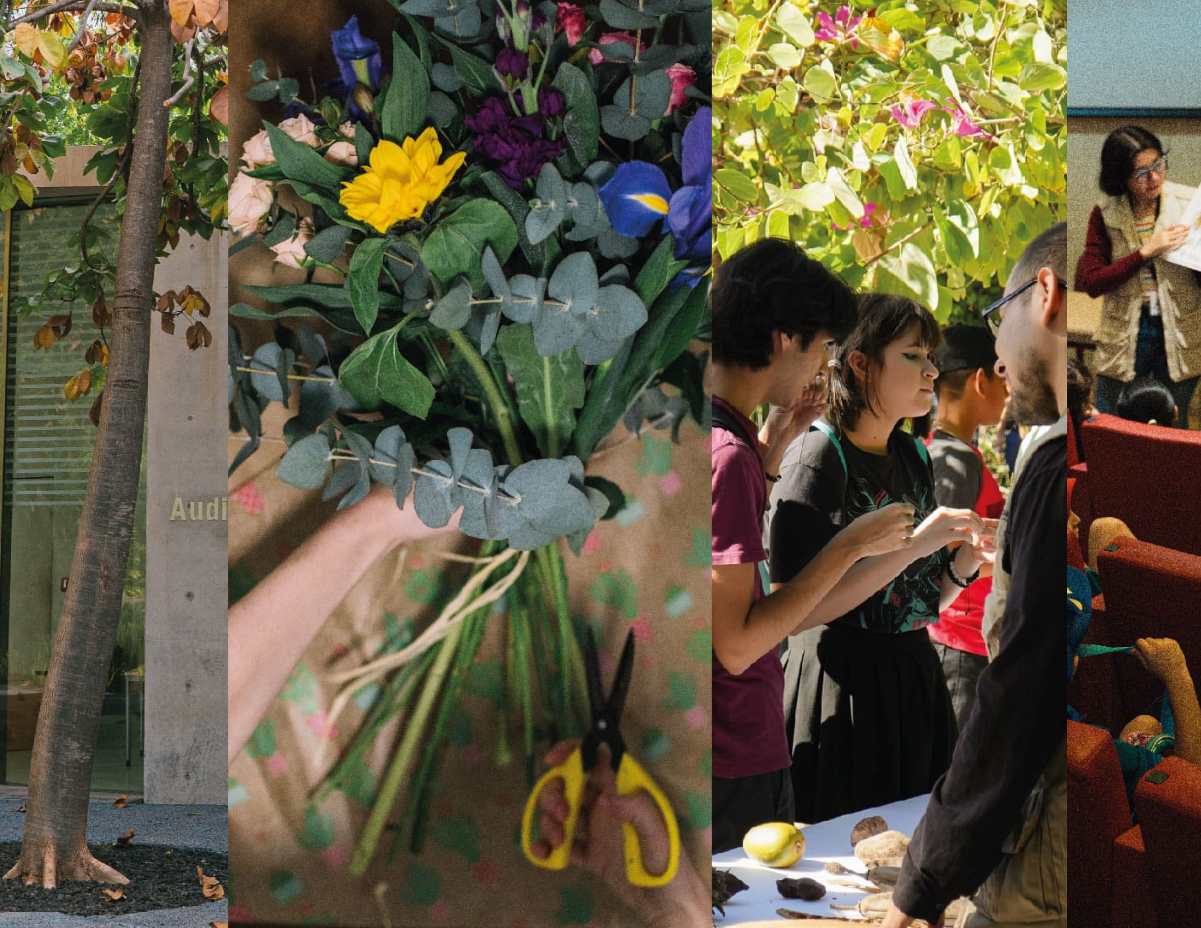 Todo listo para el Festival de Flores: un jardín de orquídeas