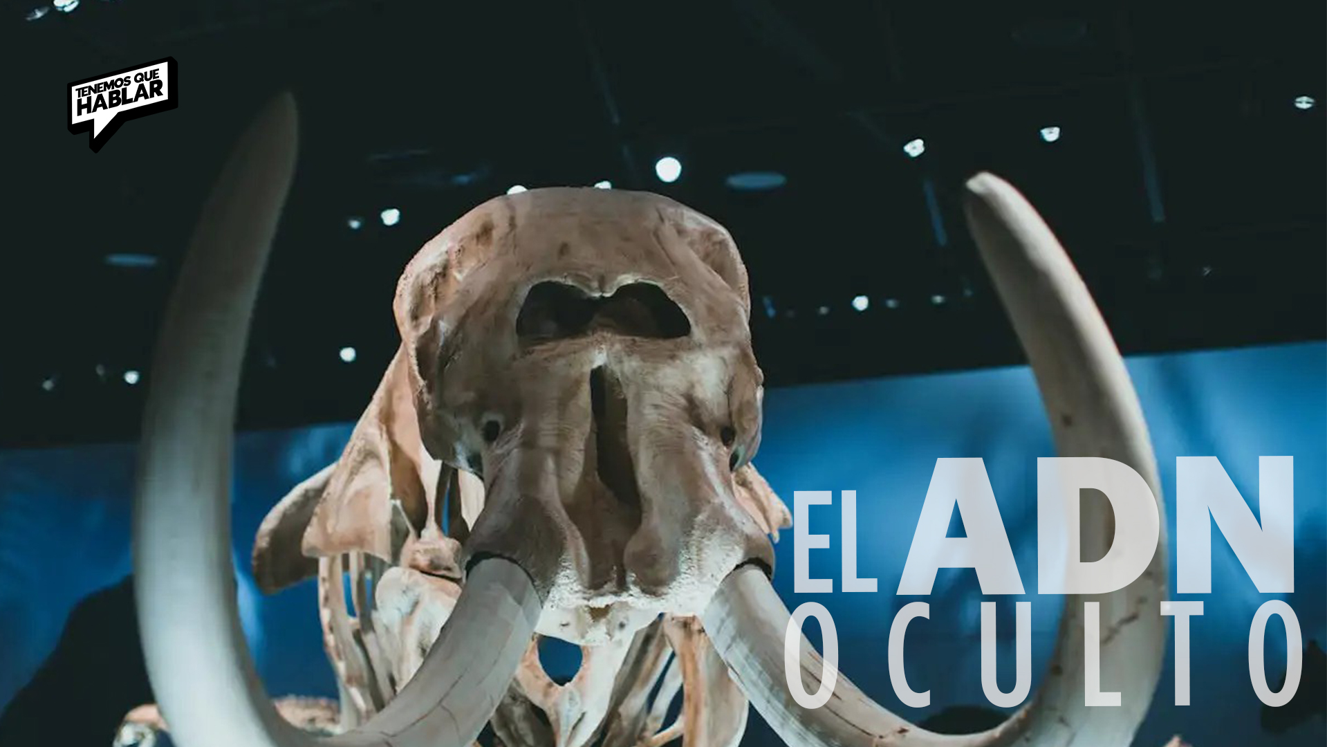 ADN bacteriano ancestral podría explicar la extinción de los mamuts