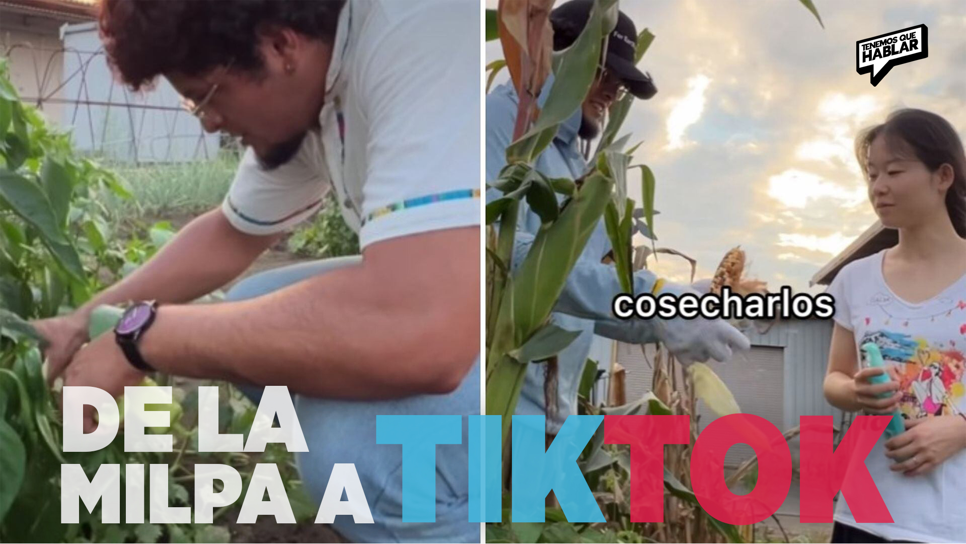 De la milpa a TikTok: una pareja que cultiva raíces mexicanas en Japón