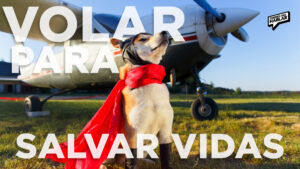 El piloto que cambió pasajeros por perros: vuelos que salvan vidas