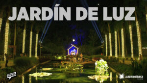 Un “Jardín de Luz” te espera en Navidad en el Botánico