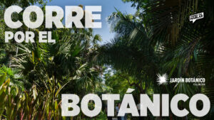 Corre por el Botánico, recorridos guiados y actividades al aire libre, las imperdibles de Noviembre en el pulmón verde de Culiacán