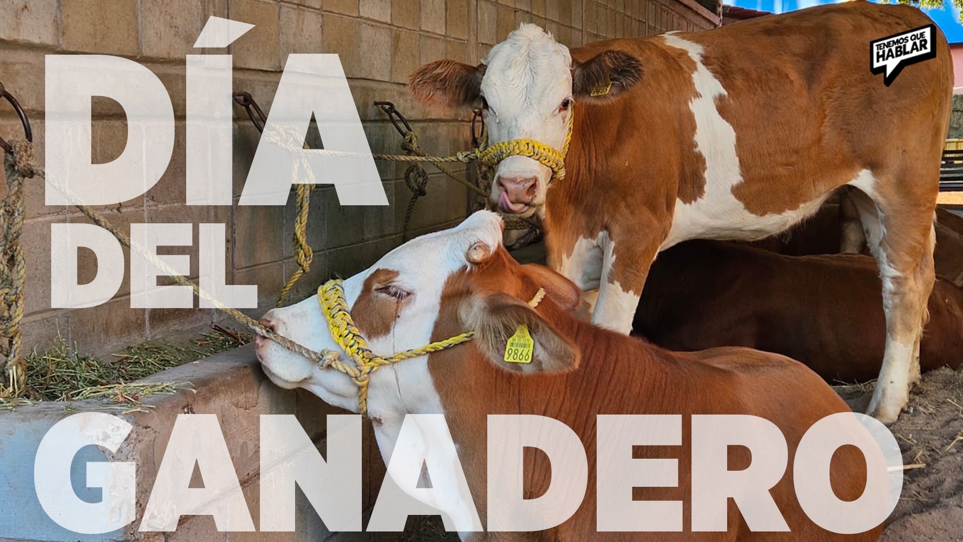 Día del Ganadero: Gran Celebración en la Expo Ganadera Sinaloa 2025