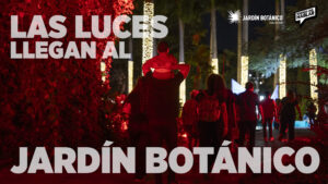 Abre sus puertas Navidad en el Botánico 2025, Un Jardín de Luz