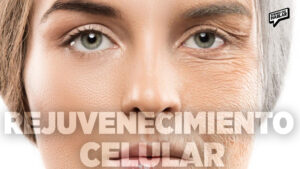 Cómo la ciencia busca “rejuvenecer” nuestras células sin milagros