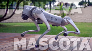 Perros robot: la nueva compañía tecnológica que ya es más accesible