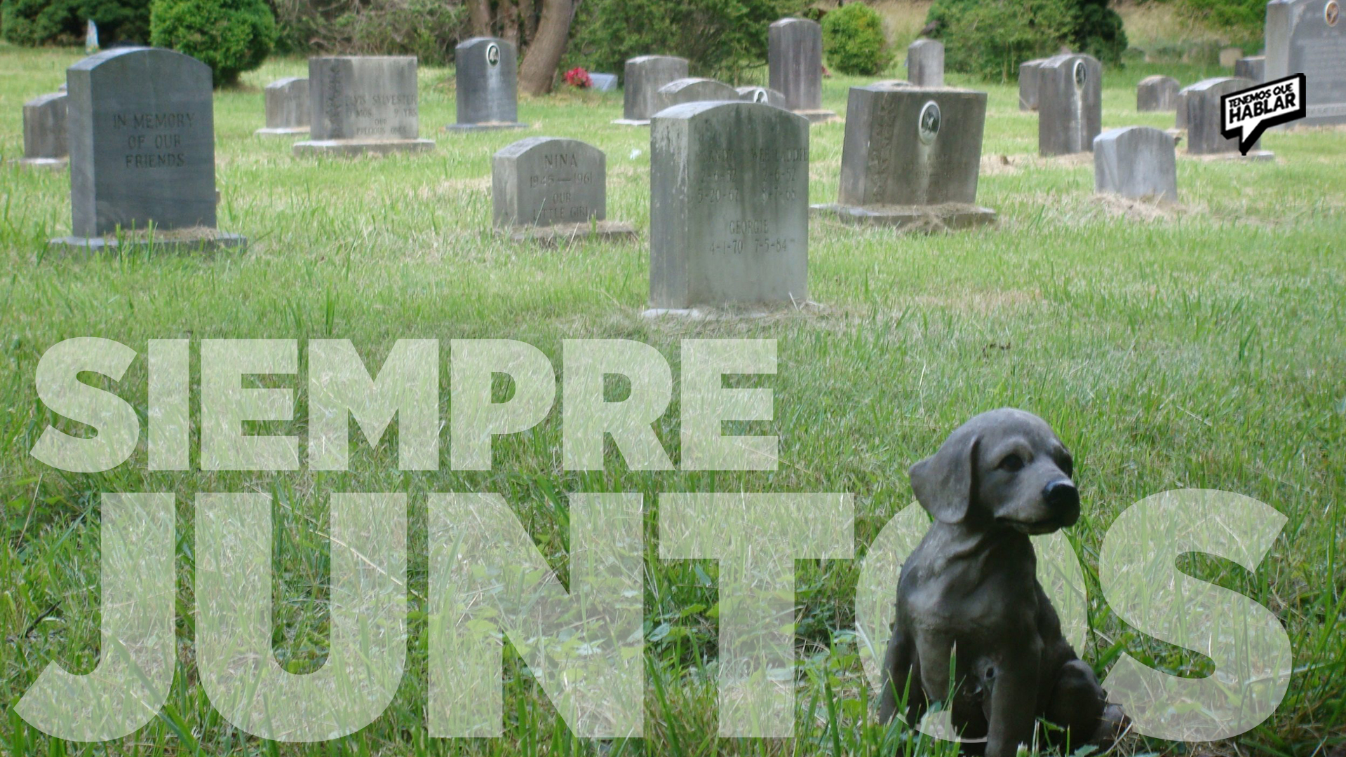 La ley: Brasil permitirá que mascotas descansen junto a sus dueños