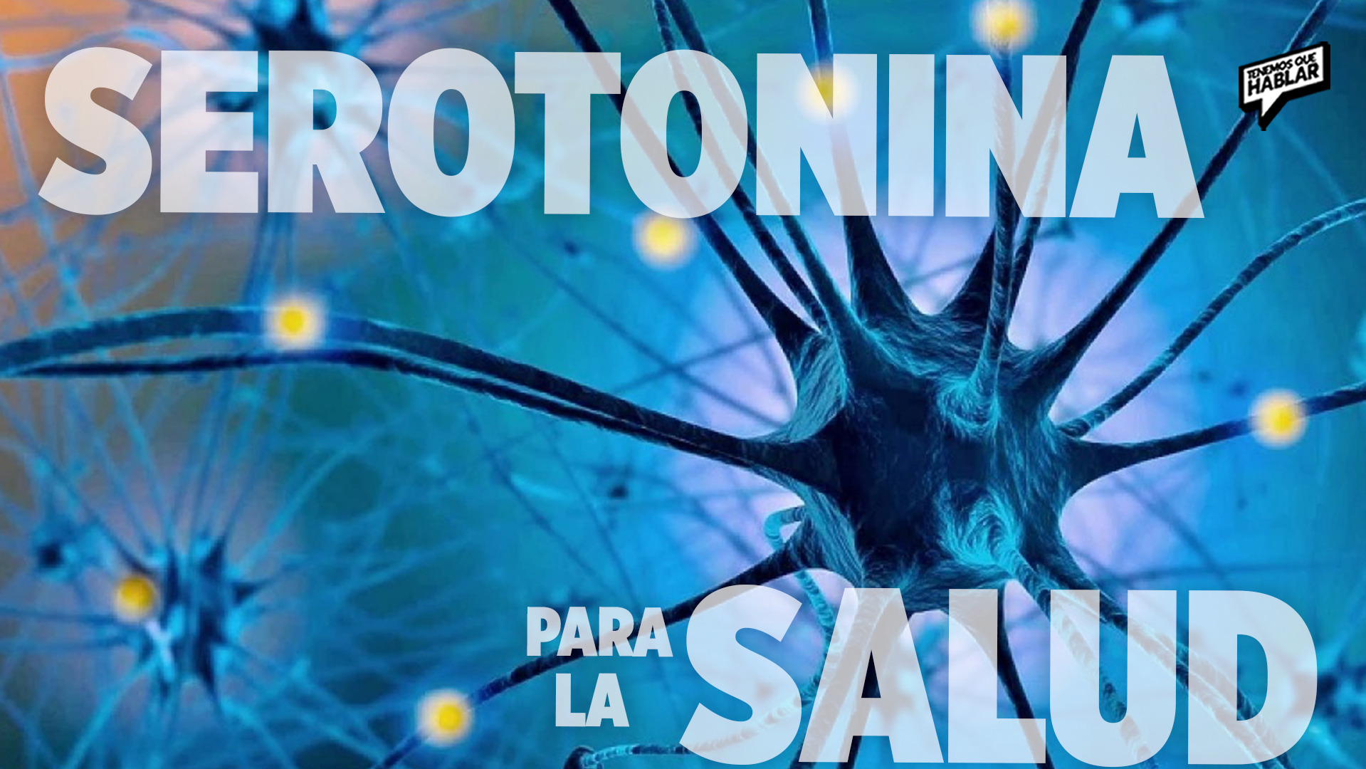 El intestino: el “segundo cerebro” de tu bienestar