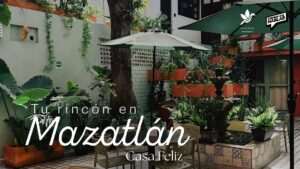 Casa Feliz: un respiro en el corazón de Mazatlán