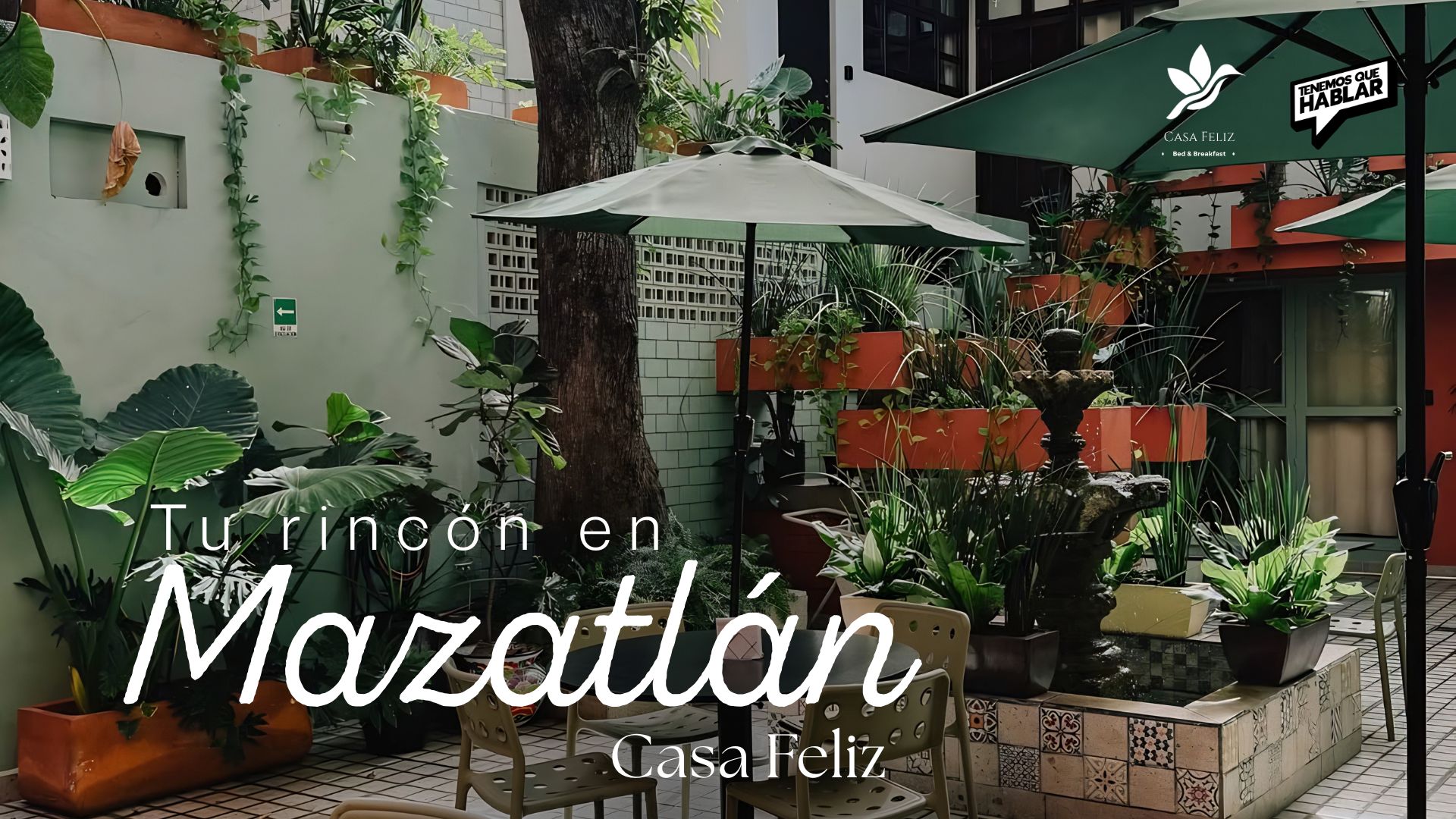 Casa Feliz: un respiro en el corazón de Mazatlán