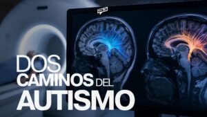 Lo que el cerebro está revelando