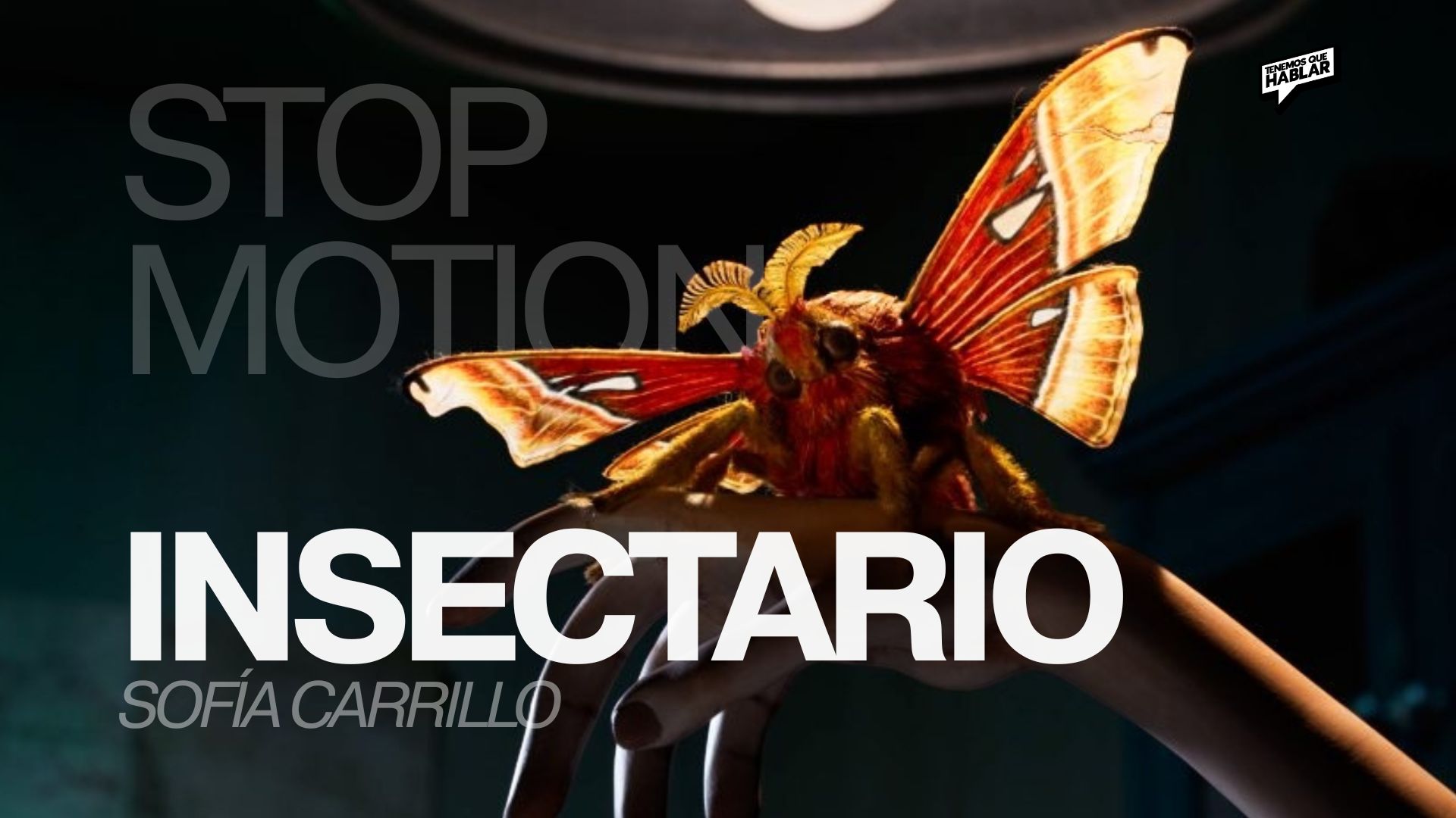 La magia del stop motion mexicano regresa con ‘Insectario’